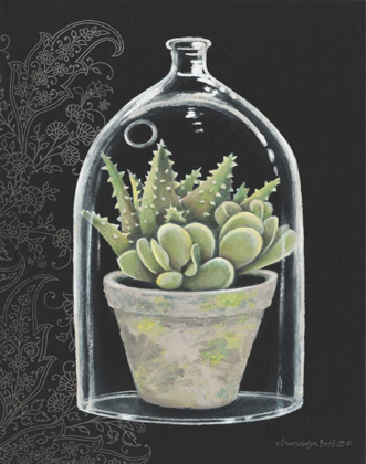 Picture of SUCCULENT IN CLOCHE II