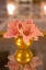 Picture of LILLIES BOUQUET