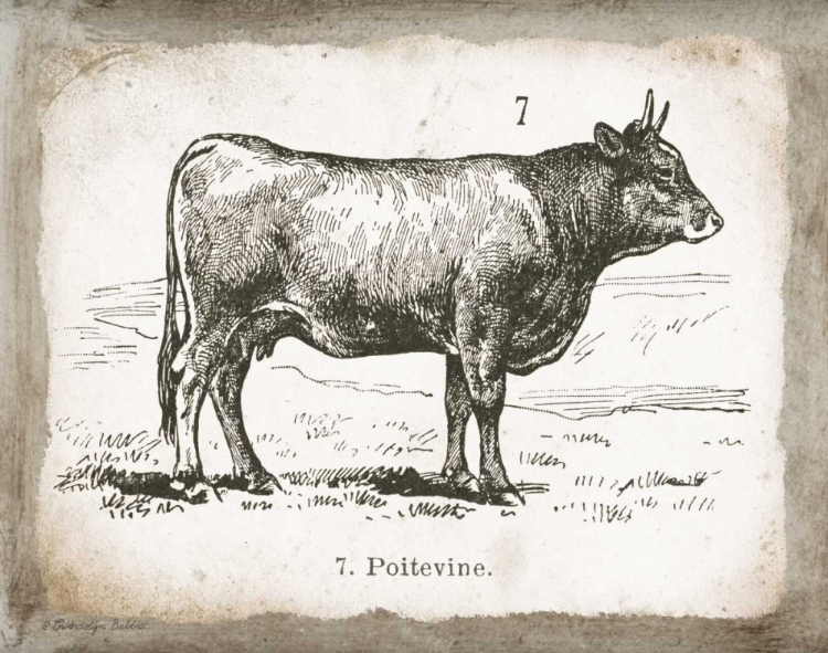 Picture of FRENCH COW I