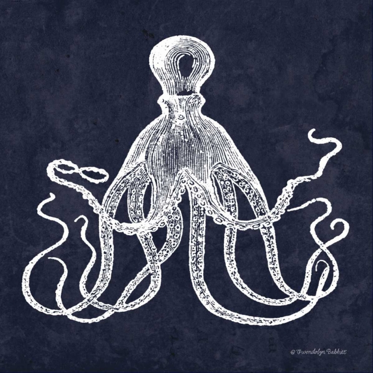 Picture of OCTOPI II