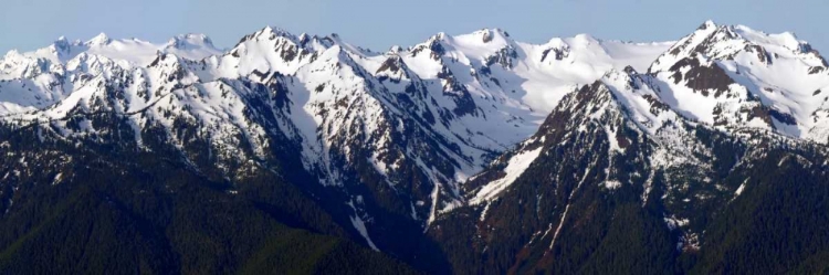 Picture of MORNING AT HURRICANE RIDGE