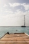 Picture of DOCK VIEW II