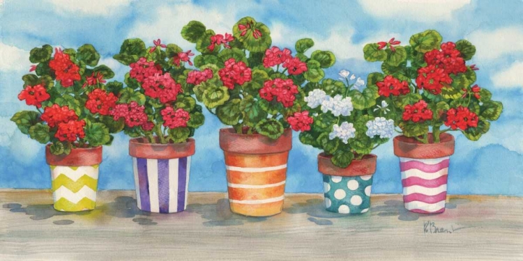 Picture of FANCY POTS GERANIUMS