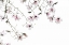 Picture of BAINBRIDGE MAGNOLIAS I