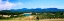 Picture of VIRGINIA VINEYARDS I