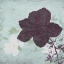 Picture of FLORAL BIRD TRIPTYCH