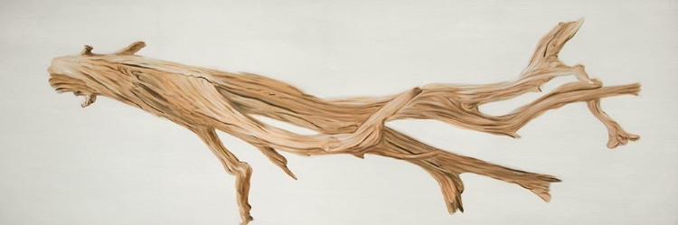 Picture of FLOATED WOOD