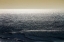 Picture of DEEP BLUE SEA II