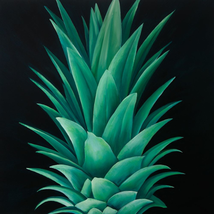 Picture of PINEAPPLE LEAVES