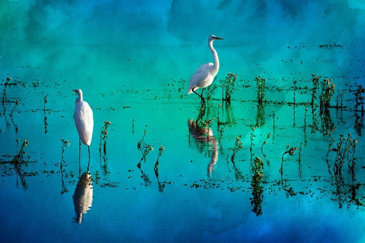 Picture of WADING HERONS II