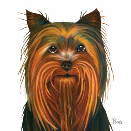 Picture of YORKIE