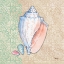 Picture of SERENE SEASHELLS III