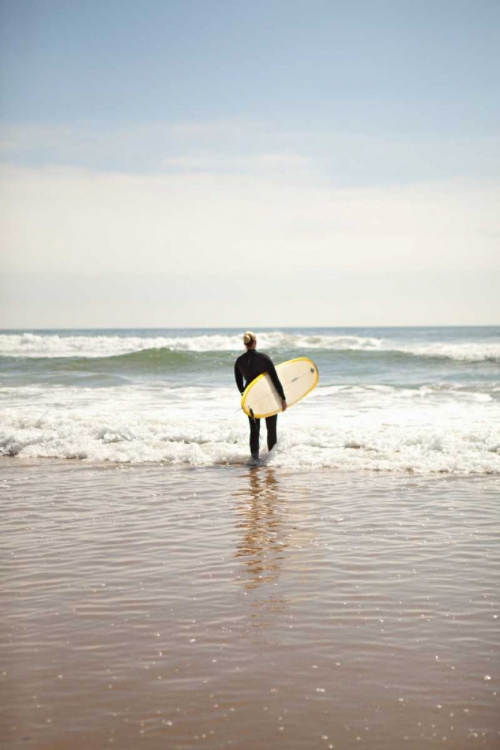 Picture of SURFER