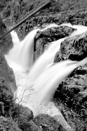 Picture of SOL DUC FALLS I BW