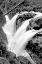Picture of SOL DUC FALLS I BW
