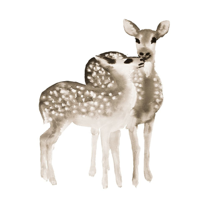 Picture of BLUE FAWNS LOVE