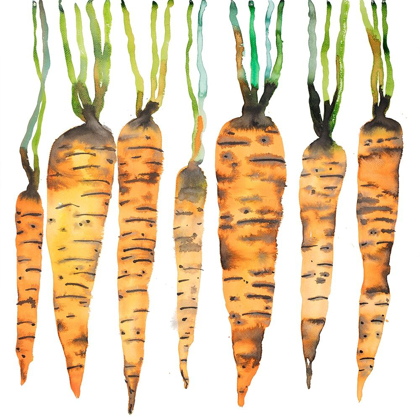Picture of WATERCOLOR CARROTS