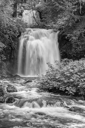 Picture of TWIN FALLS BW