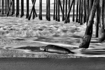 Picture of SAN SIMEON PIER BW