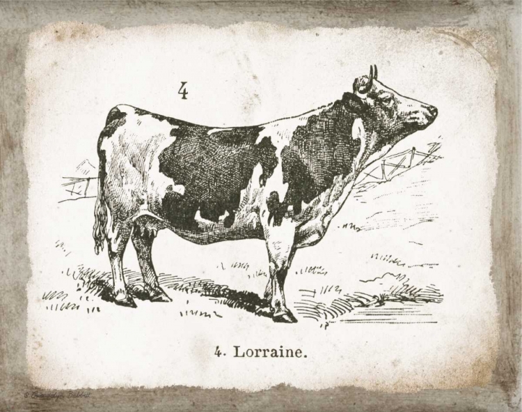 Picture of FRENCH COW III