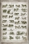 Picture of FRENCH COW CHART
