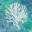 Picture of ECHOES CORAL IV