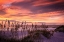 Picture of SEPTEMBER SUNRISE VI