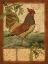 Picture of TUSCAN ROOSTER II
