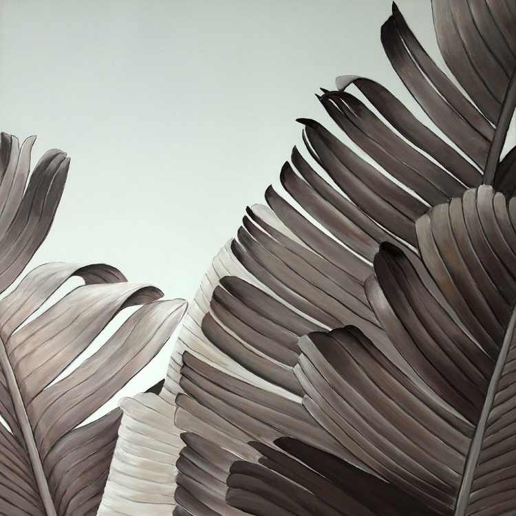 Picture of GRAYSCALE TROPICAL LEAVES