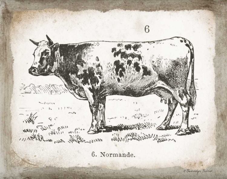 Picture of FRENCH COW IV