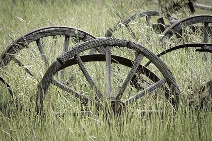 Picture of OLE WAGON WHEELS II