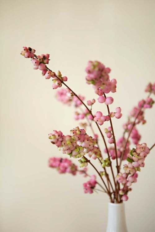 Picture of FRESH CUT FLOWERS II