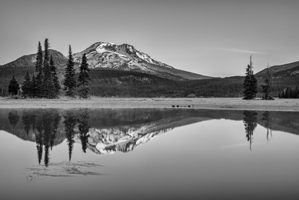 Picture of SPARKS LAKE MORNING BW