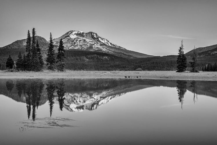 Picture of SPARKS LAKE MORNING BW