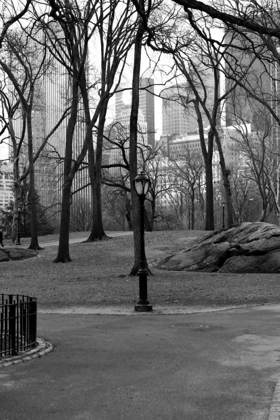 Picture of CENTRAL PARK IMAGE 062