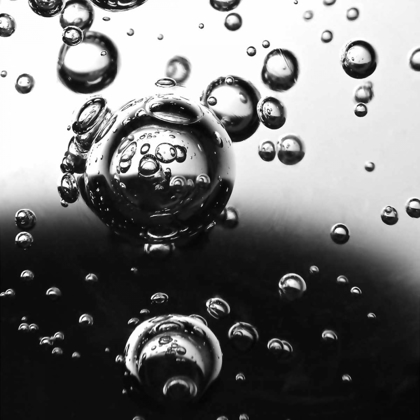 Picture of BUBBLES II