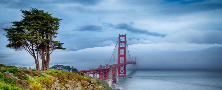 Picture of GOLDEN GATE BRIDGE I