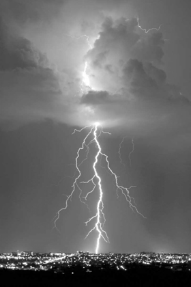 Picture of BLUE LIGHTNING BW