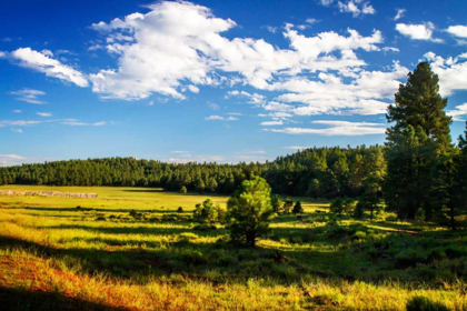 Picture of ARIZONA RANCH