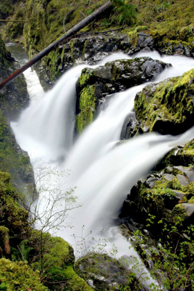 Picture of SOL DUC FALLS I