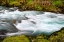 Picture of RAINFOREST RIVER II