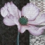 Picture of CHOQUA FLORAL IV