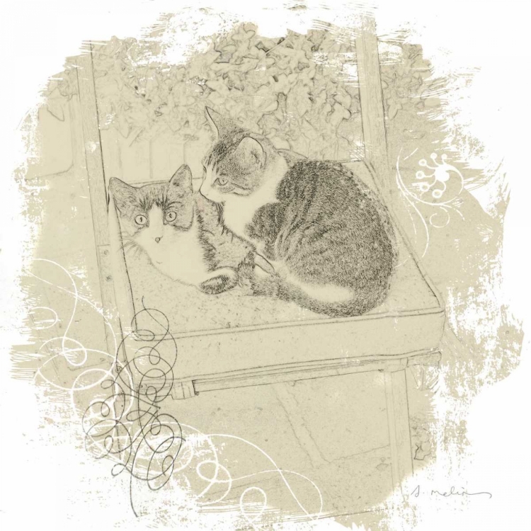 Picture of FELINE ILLUSTRATION II