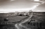 Picture of LONELY ROAD I