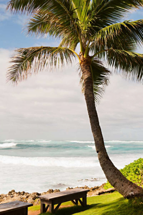 Picture of PEACEFUL CARIBBEAN I