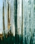 Picture of CRACKED GLASS II