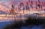 Picture of RAGGED SUNRISE IV