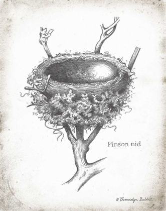 Picture of FRENCH BIRD NEST II