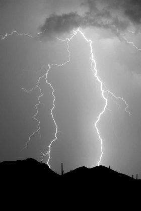 Picture of SUMMER LIGHTNING BW