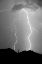 Picture of SUMMER LIGHTNING BW